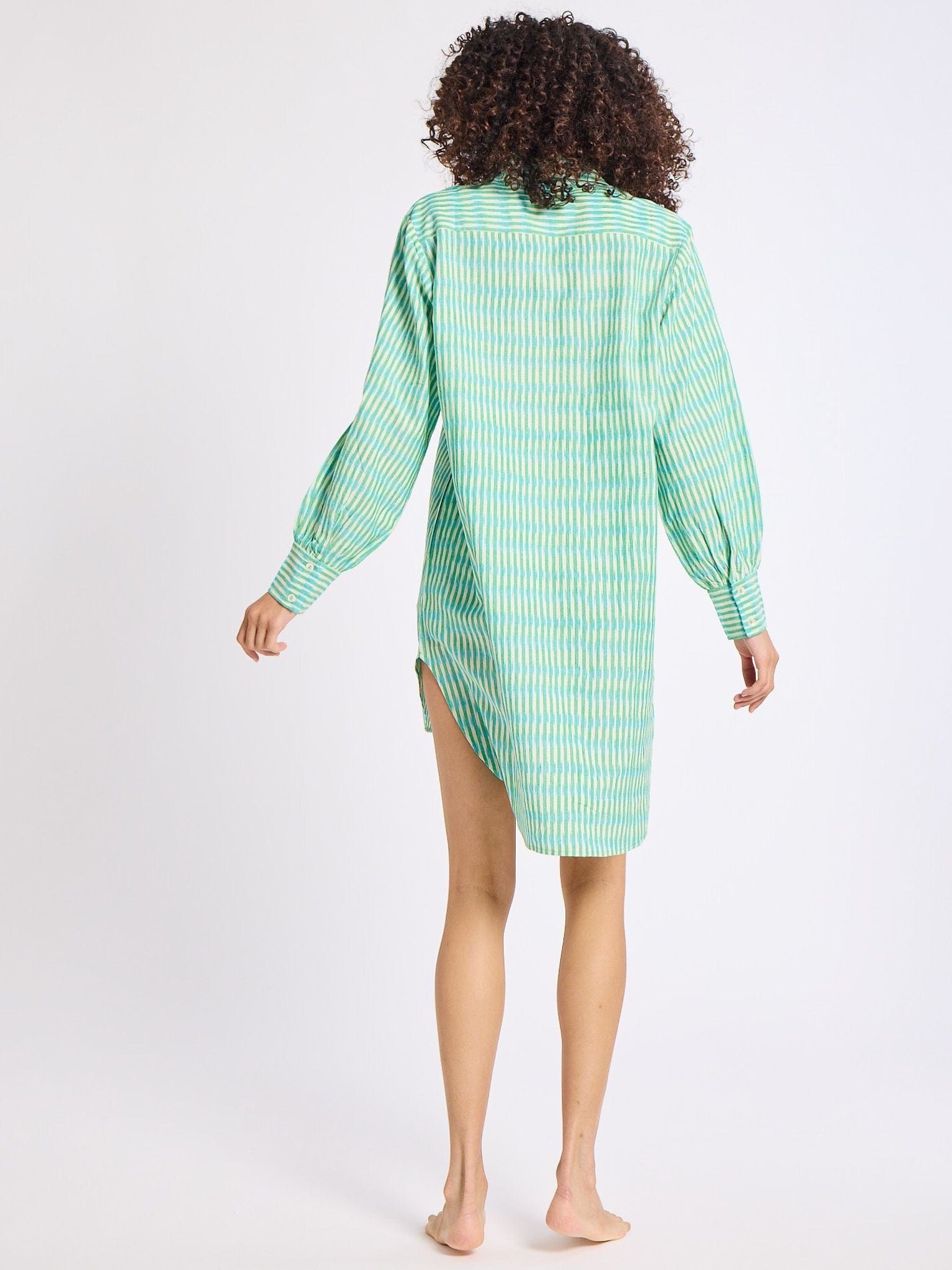 MILLE Clothing Holly Mini Dress in Green & Blue Ikat