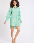MILLE Clothing Holly Mini Dress in Green & Blue Ikat