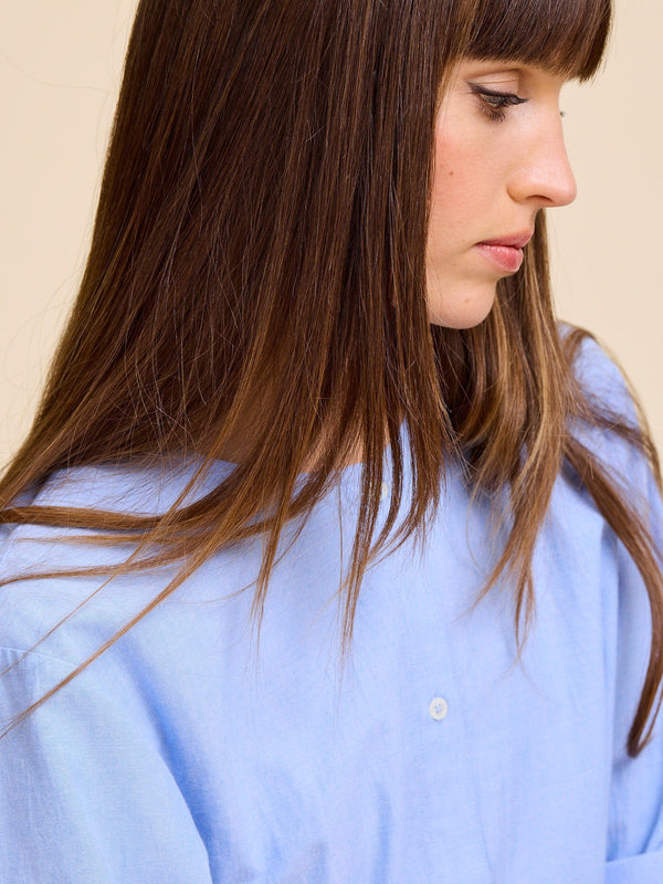 Noa Dress in Blue Oxford — view 11