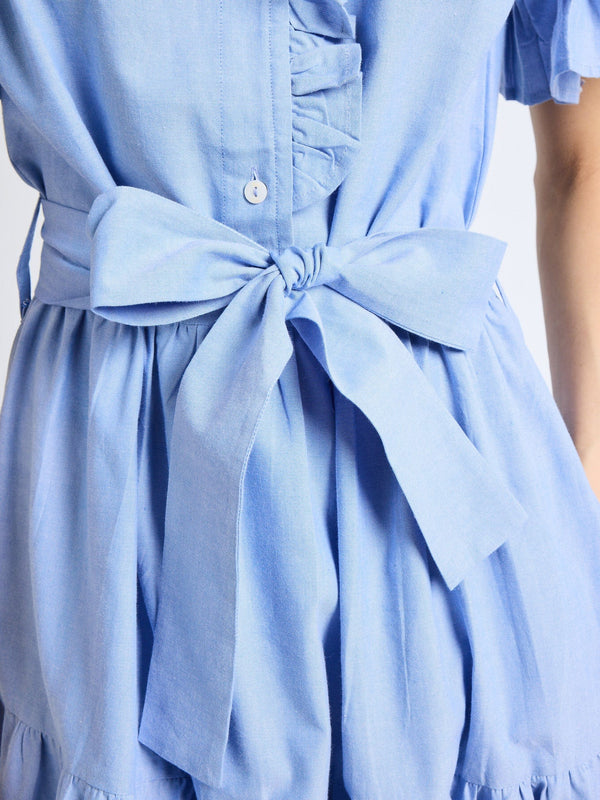 Victoria Dress in Blue Oxford — view 6