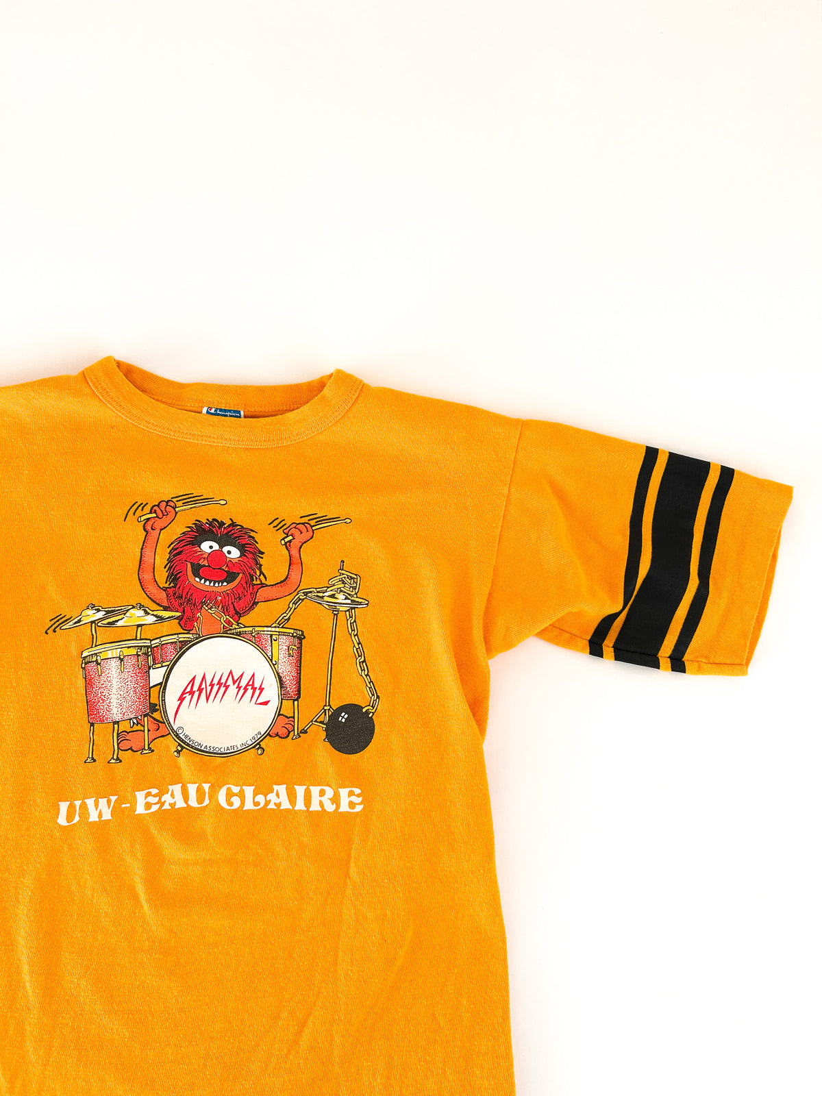 Vintage Champion Muppets Animal Eau Claire tee, image 1