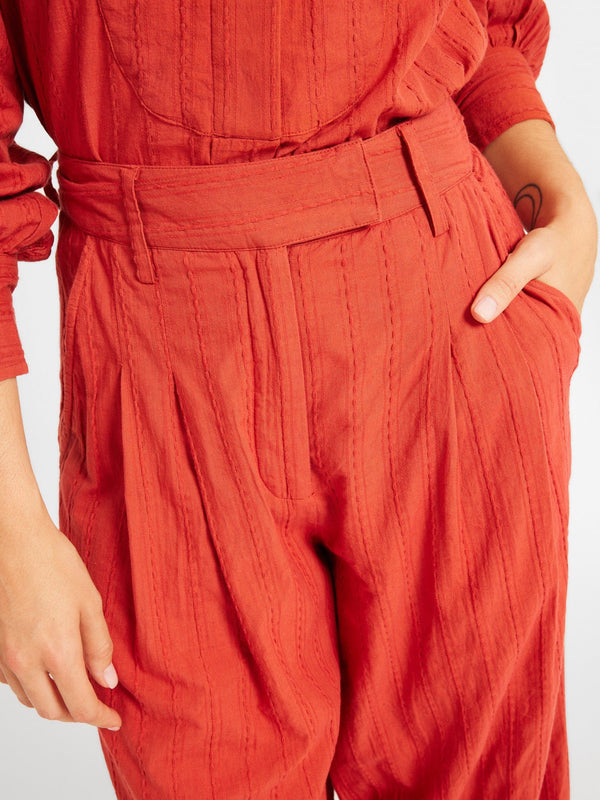Cara Pant in Spice — view 6