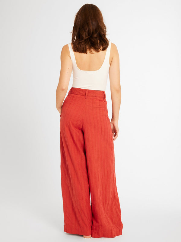 Cara Pant in Spice — view 5