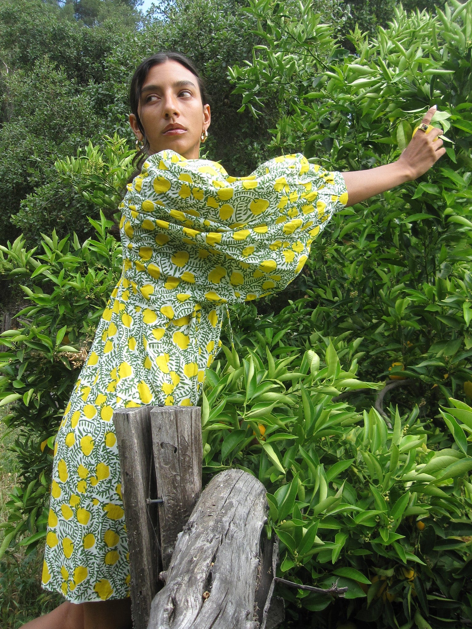 MILLE Clothing Daisy Dress in Lemons