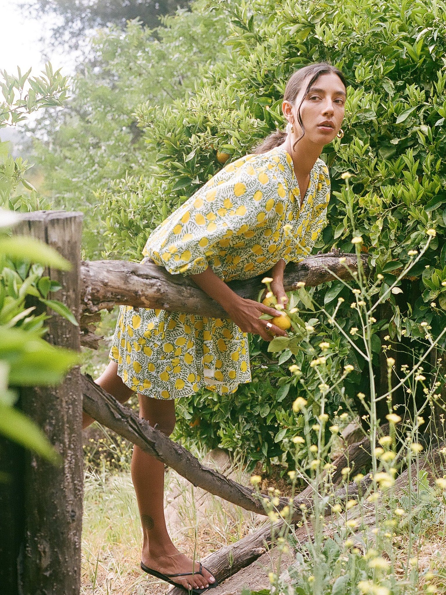 MILLE Clothing Daisy Dress in Lemons