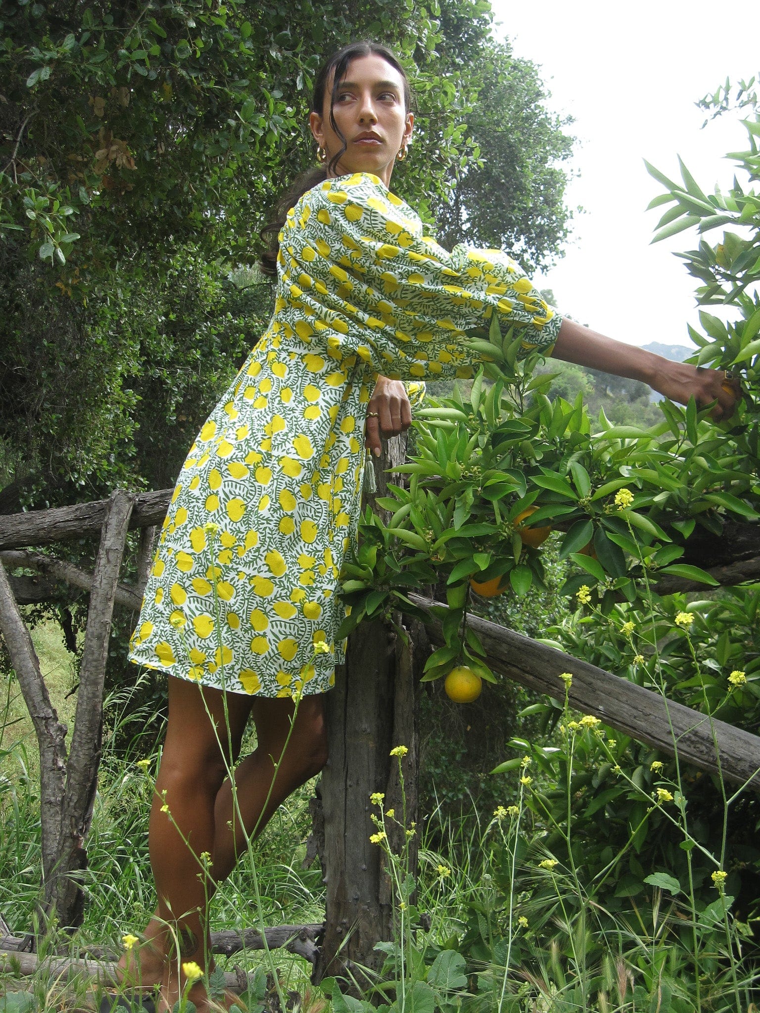 MILLE Clothing Daisy Dress in Lemons