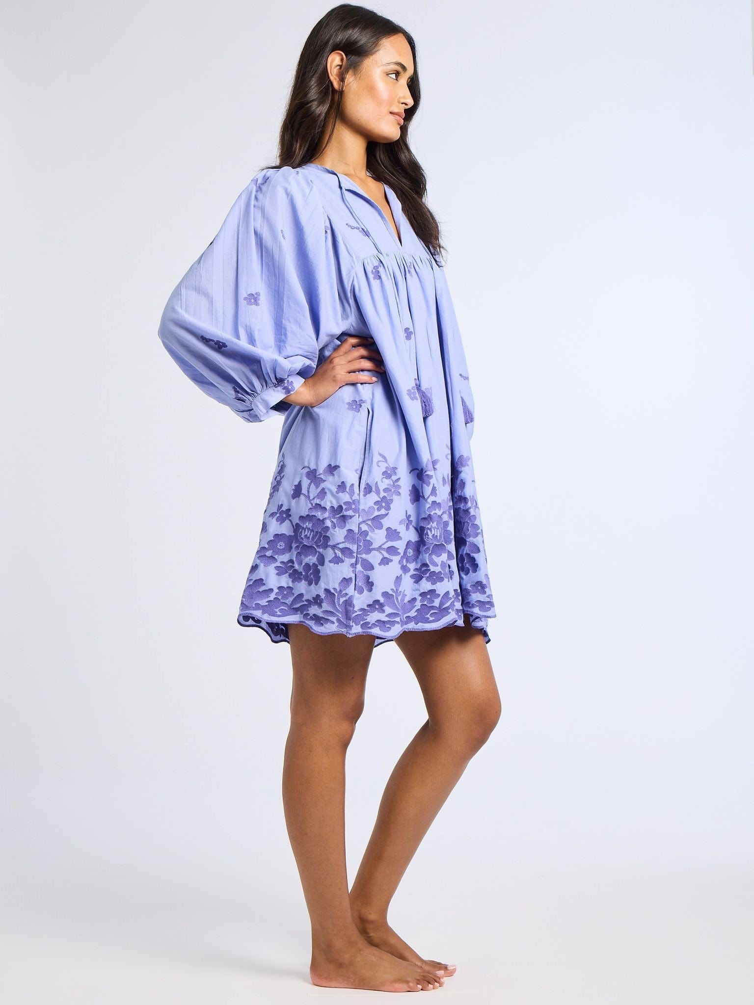 MILLE Clothing Daisy Dress in Periwinkle Embroidery