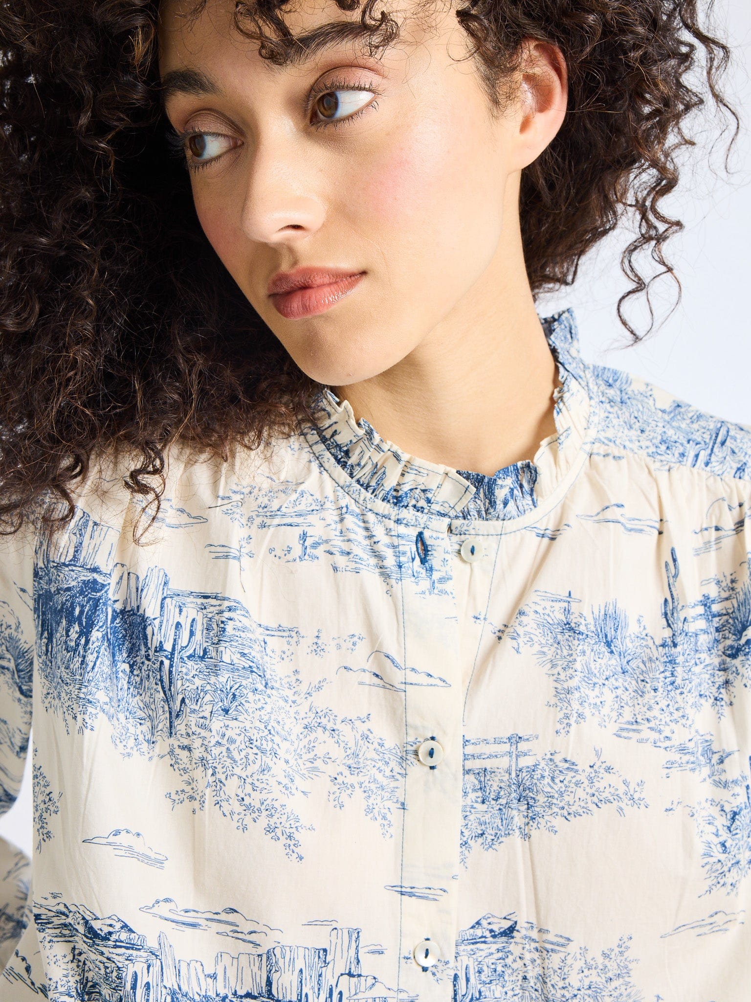 MILLE Clothing Francesca Top in Western Toile