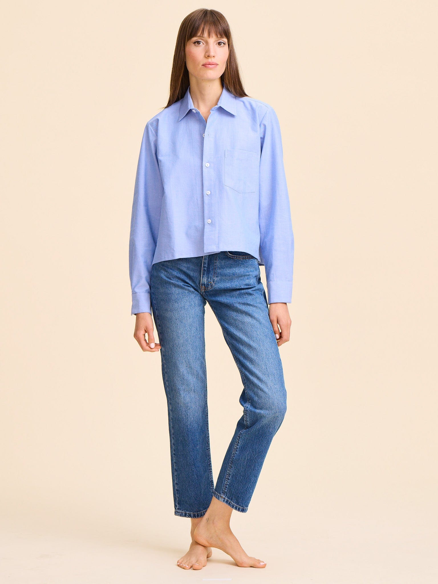 MILLE Clothing Gia Top in Blue Oxford