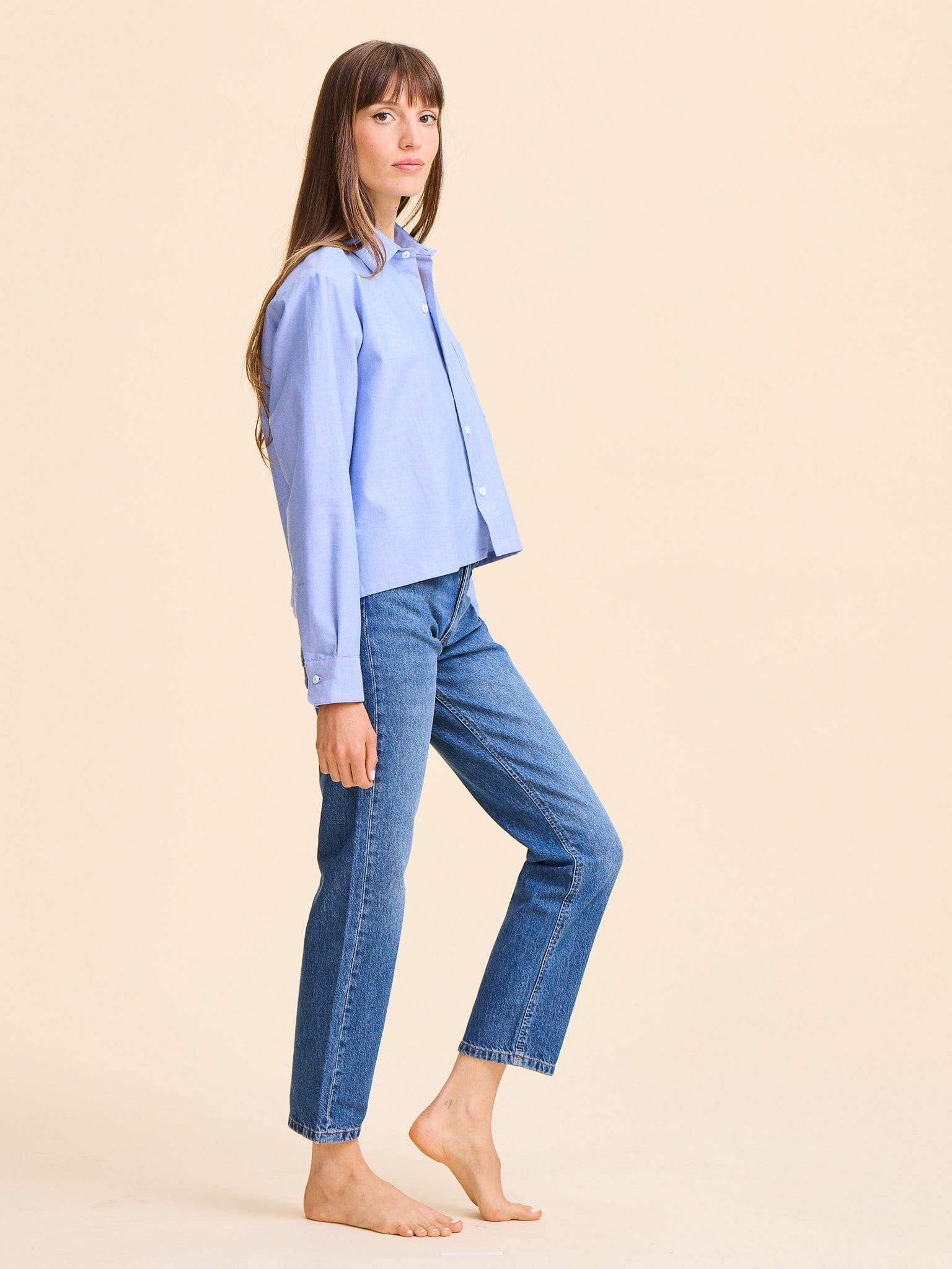 MILLE Clothing Gia Top in Blue Oxford