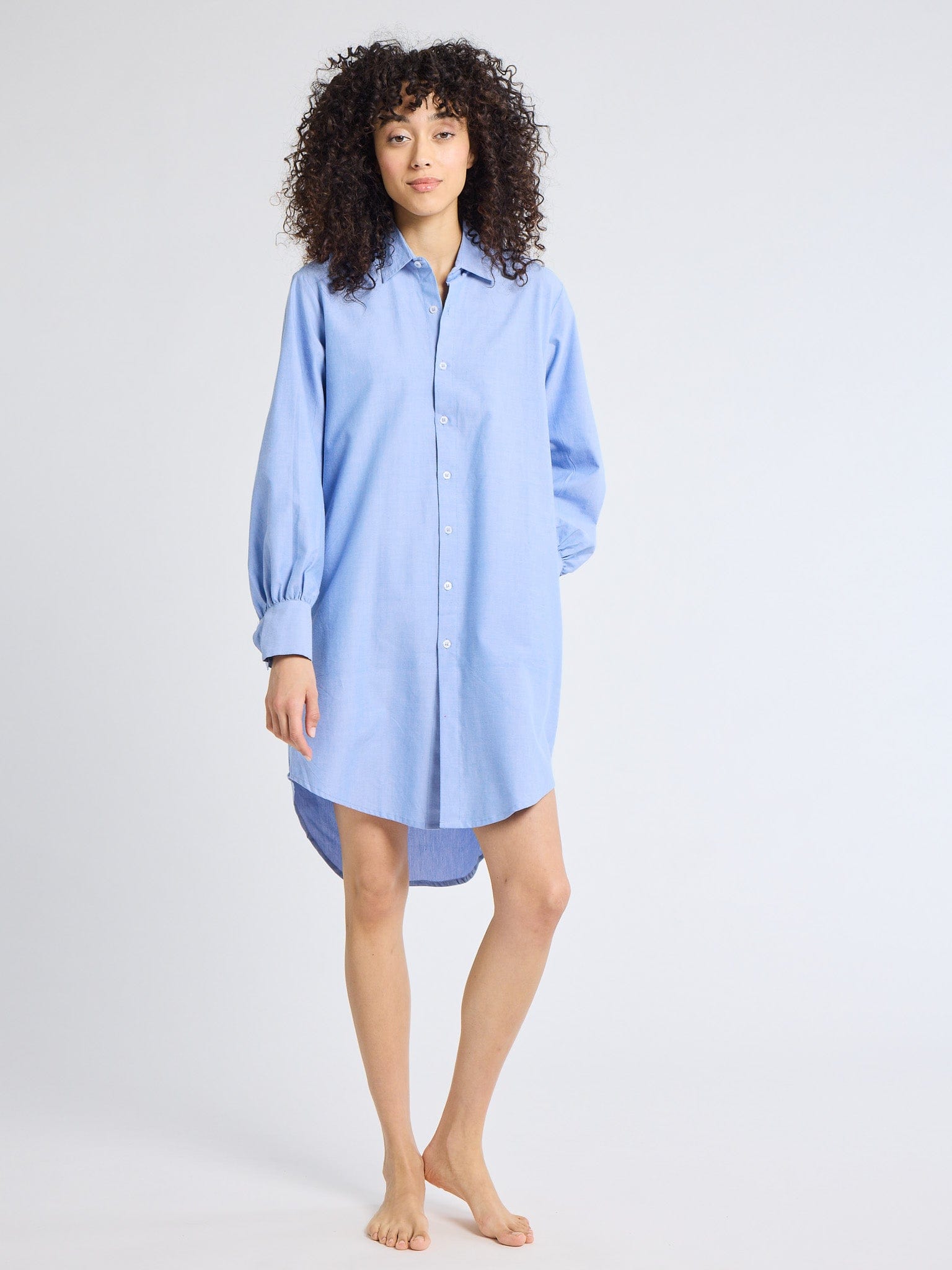 MILLE Clothing Holly Mini Dress in Blue Oxford