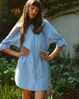 MILLE Clothing Noa Dress in Blue Oxford