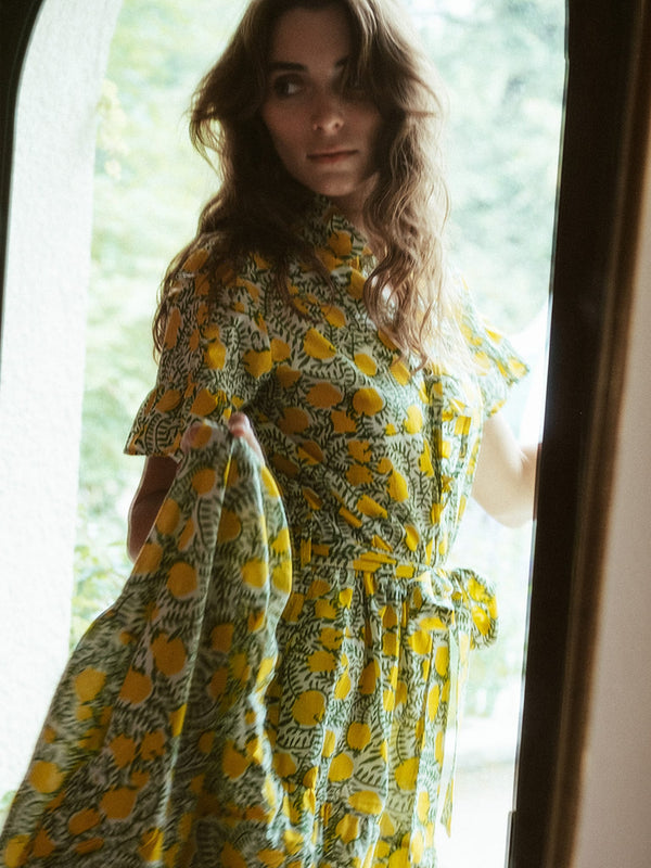Victoria Dress in Lemons — view 4