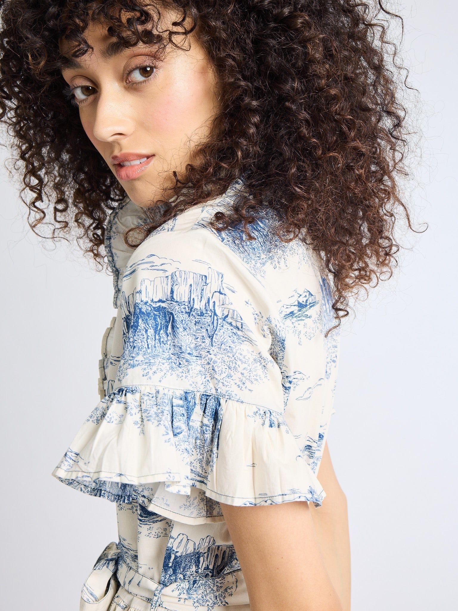 MILLE Clothing Victoria Dress in Western Toile