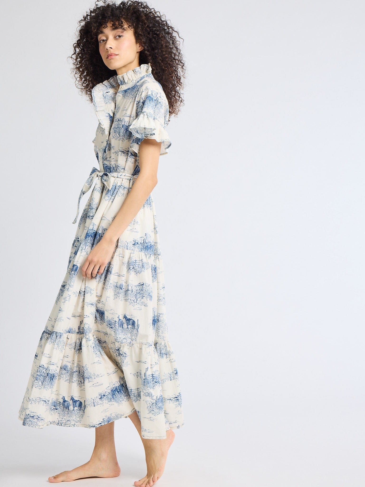 MILLE Clothing Victoria Dress in Western Toile