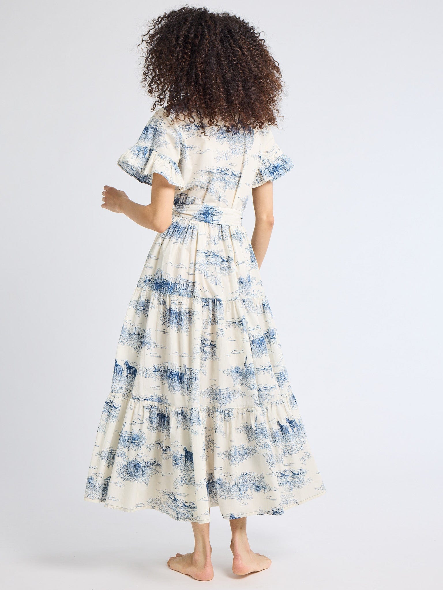 MILLE Clothing Victoria Dress in Western Toile