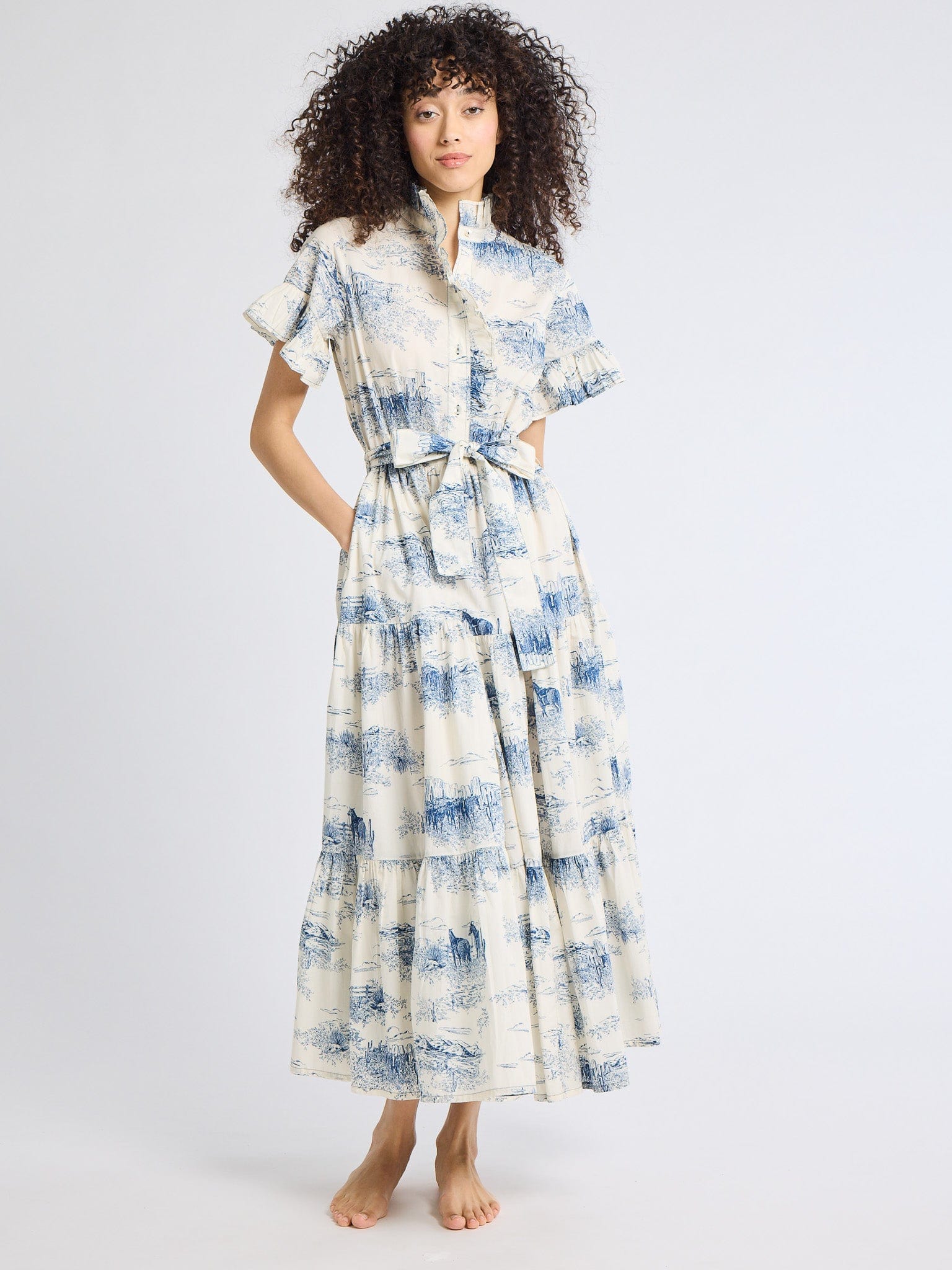 MILLE Clothing Victoria Dress in Western Toile