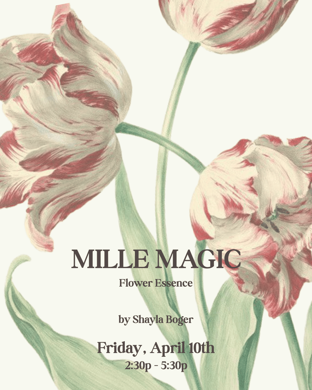 MILLE MILLE MAGIC LAUNCH - A NEW FLOWER ESSENCE BY SHAYLA - APRIL 10TH