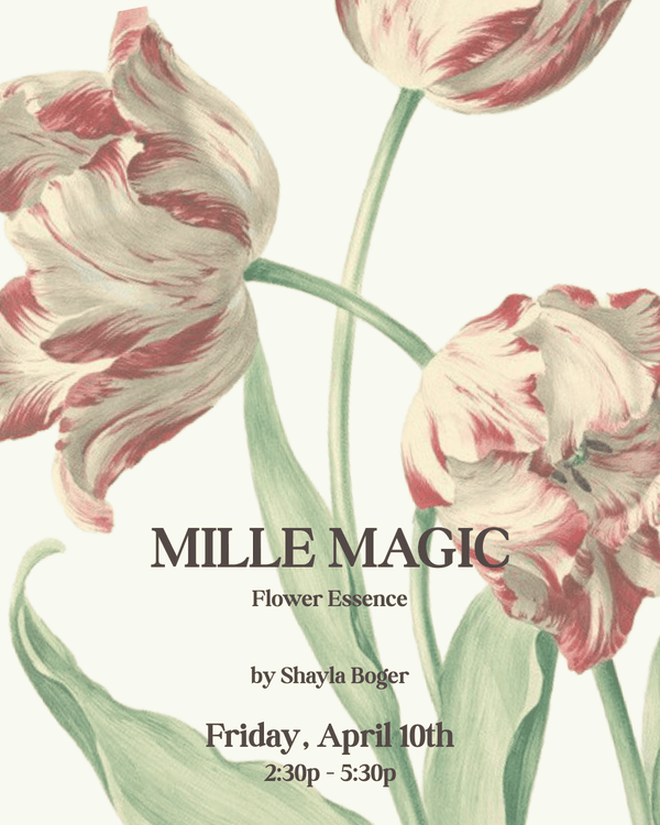 MILLE MAGIC LAUNCH - A NEW FLOWER ESSENCE BY SHAYLA — view 3