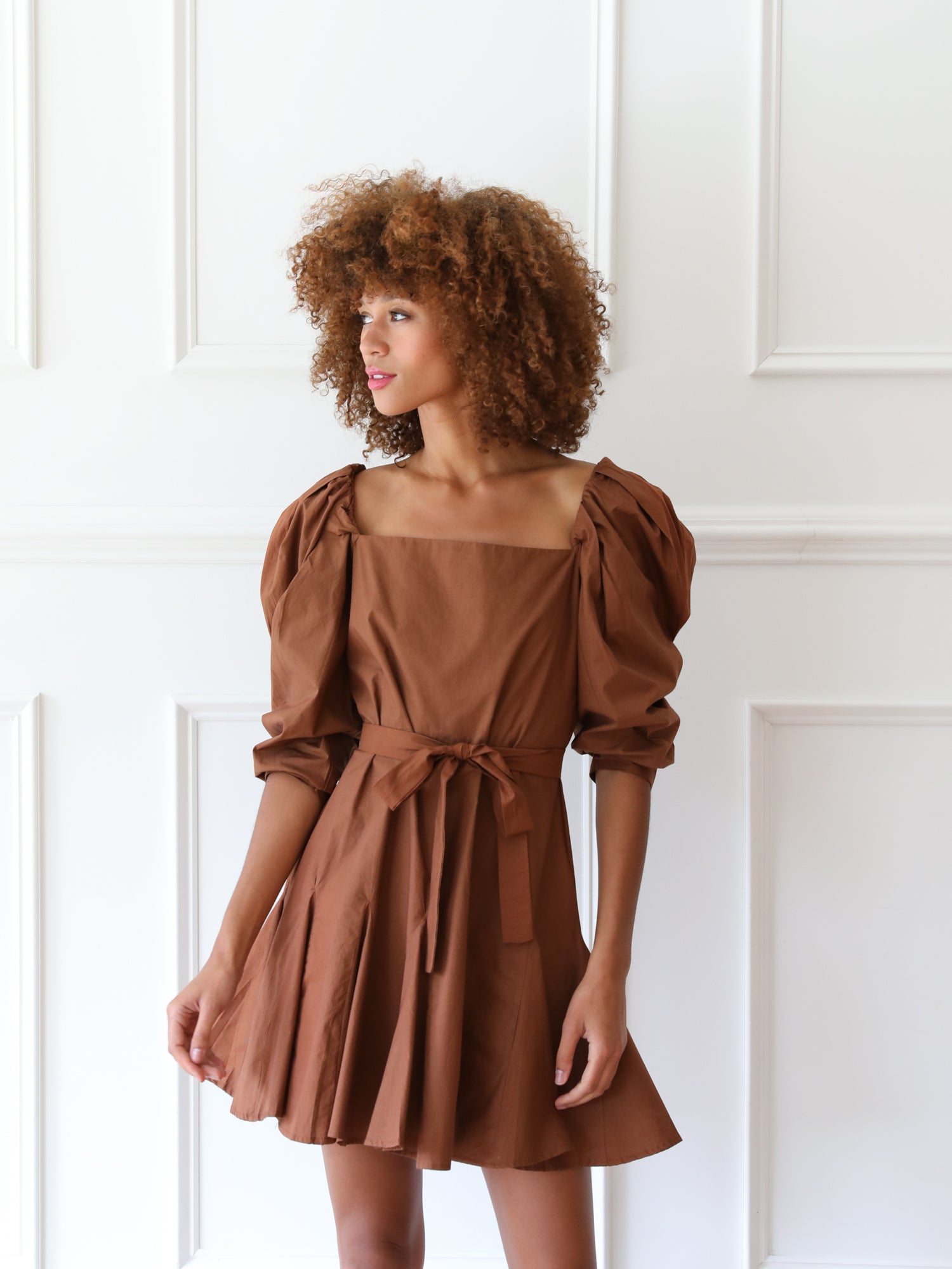 MILLE Clothing Anais Dress in Clay