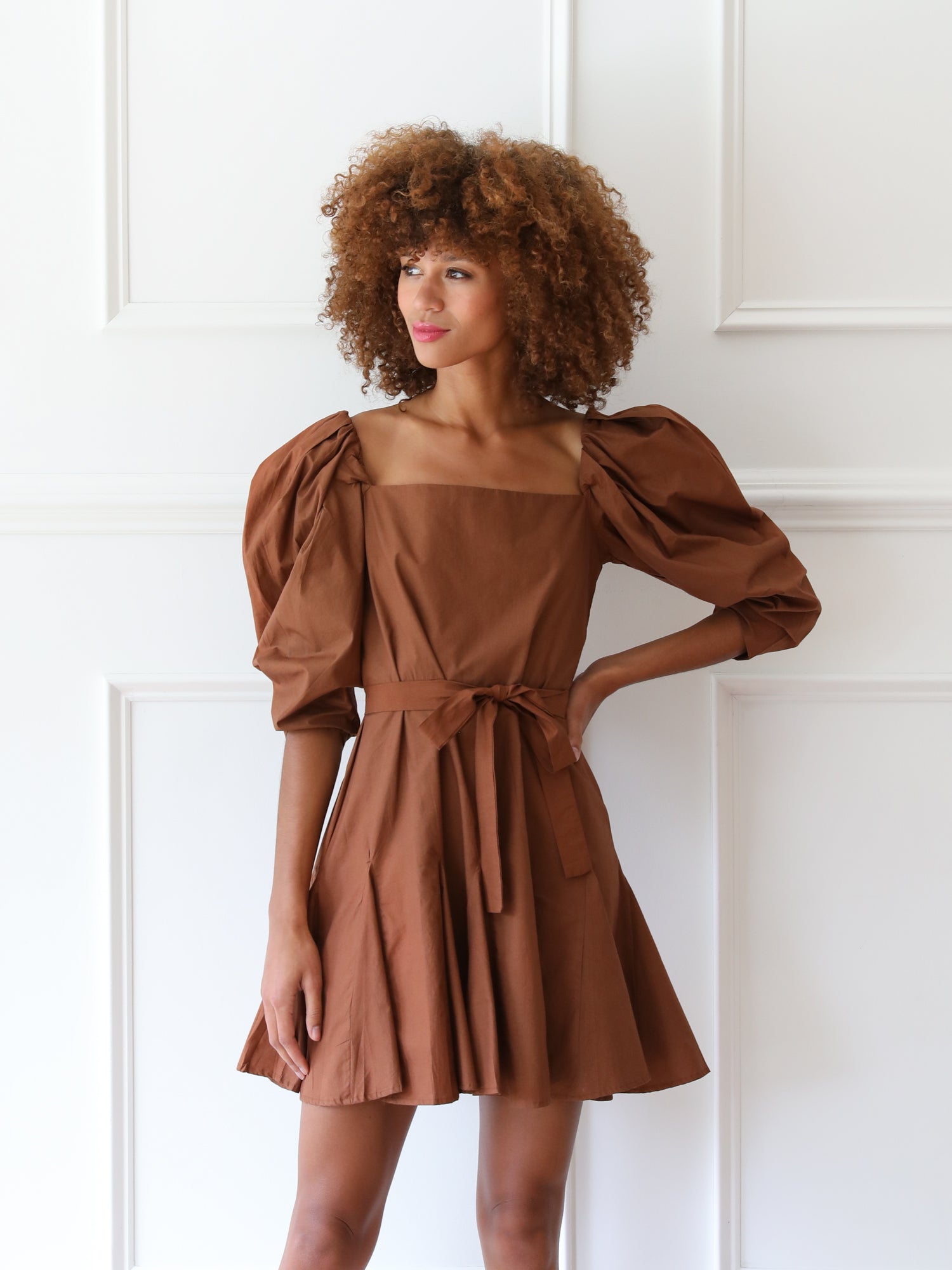 MILLE Clothing Anais Dress in Clay